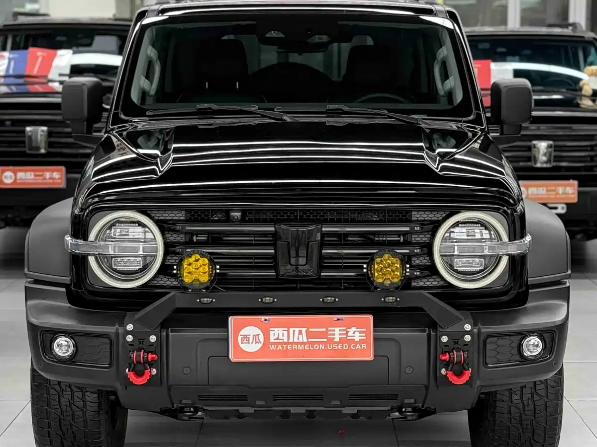 Tank 300 2023 Off-Road Edition 2.0T Conqueror фото 2