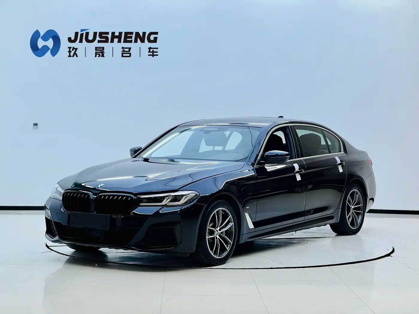 BMW 5 SERIES NEW ENERGY