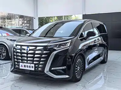 Denza D9