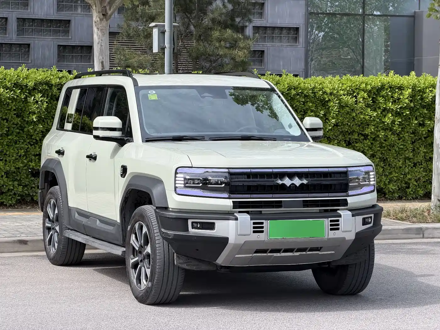 FANG CHENG BAO LEOPARD 5