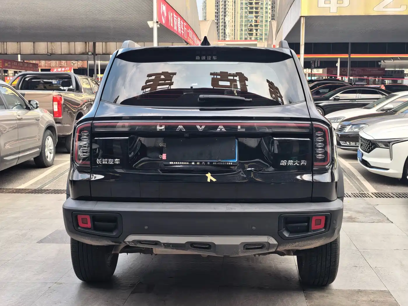 Haval Big Dog 2025 2024 1.5T DCT Border Collie Edition