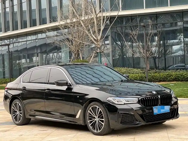 BMW 5 Series 2020 530Li Leading M Sport Package фото 3