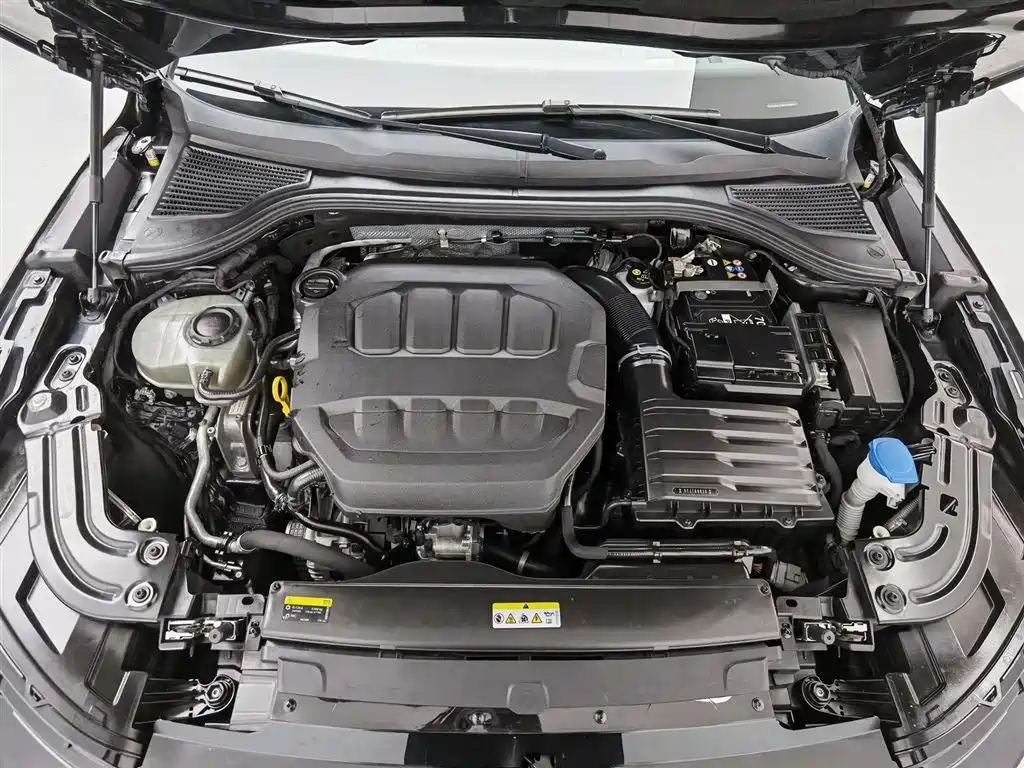 Volkswagen Magotan 2024 380TSI DSG Luxury Edition (Daimai Package) фото 6