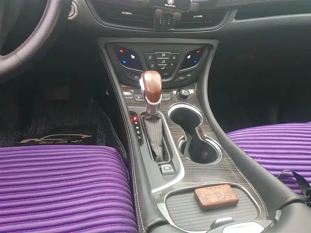 Buick Envision Plus 2019 20T 2WD Elite Type China V фото 14