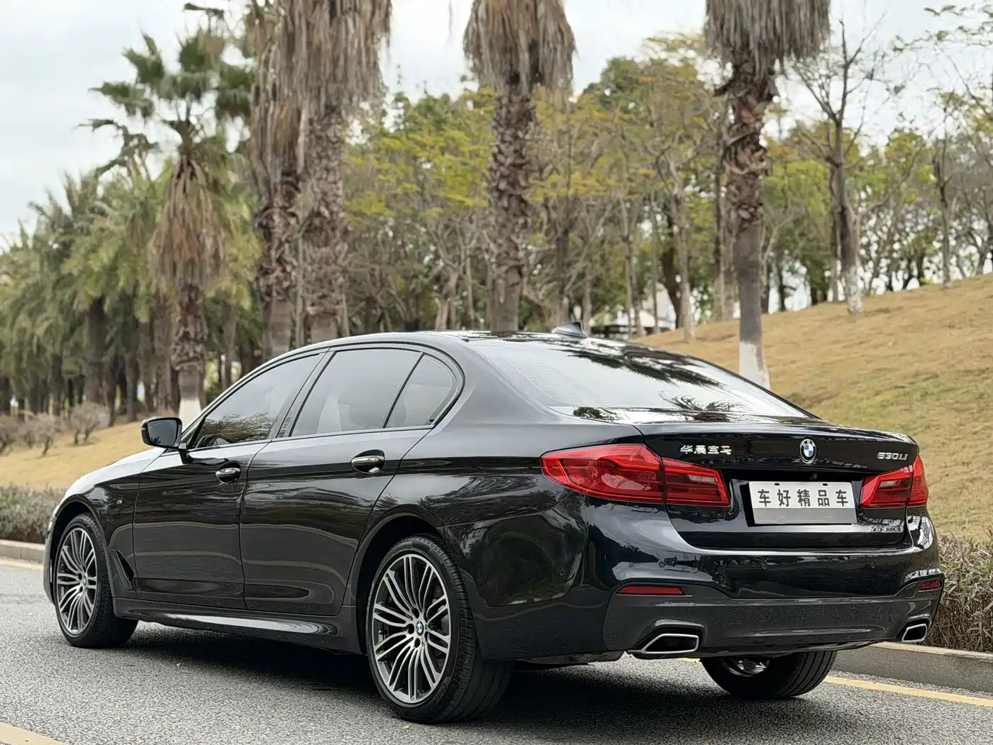 BMW 5 Series 2018 Facelift 530Li Leading M Sport Package фото 14