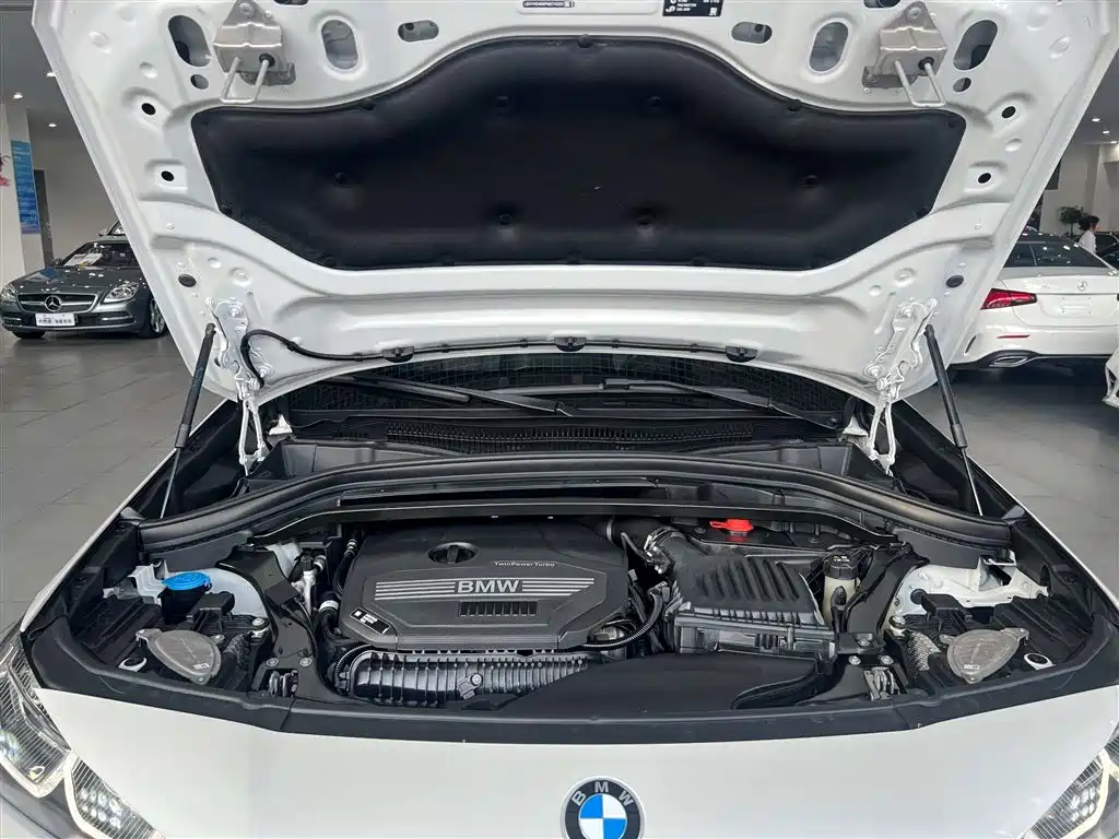 BMW X2 2023 xDrive 25i Radiance Edition фото 12