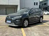 Фото 1 - Toyota Wildlander