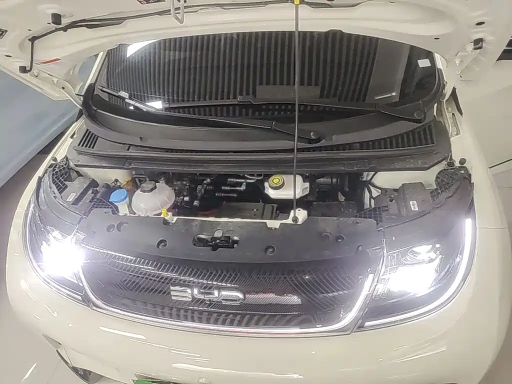 BYD Dolphin 2026 2025 420km Freedom Edition