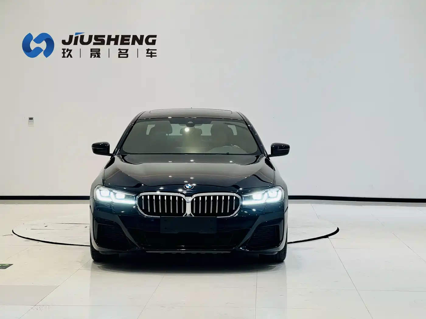 BMW 5 SERIES NEW ENERGY