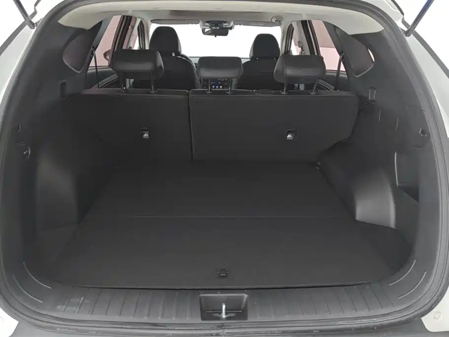 Hyundai Tucson 2021 Tucson L 1.5T DCT LUX Premium фото 4