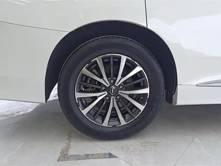 GAC Trumpchi Trumpchi M8 2021 Facelift Leading Series 390T Luxury Edition фото 6