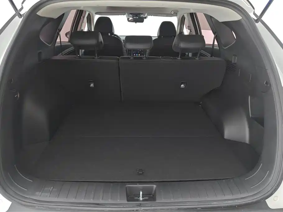Hyundai Tucson 2021 Tucson L 1.5T DCT LUX Premium фото 11