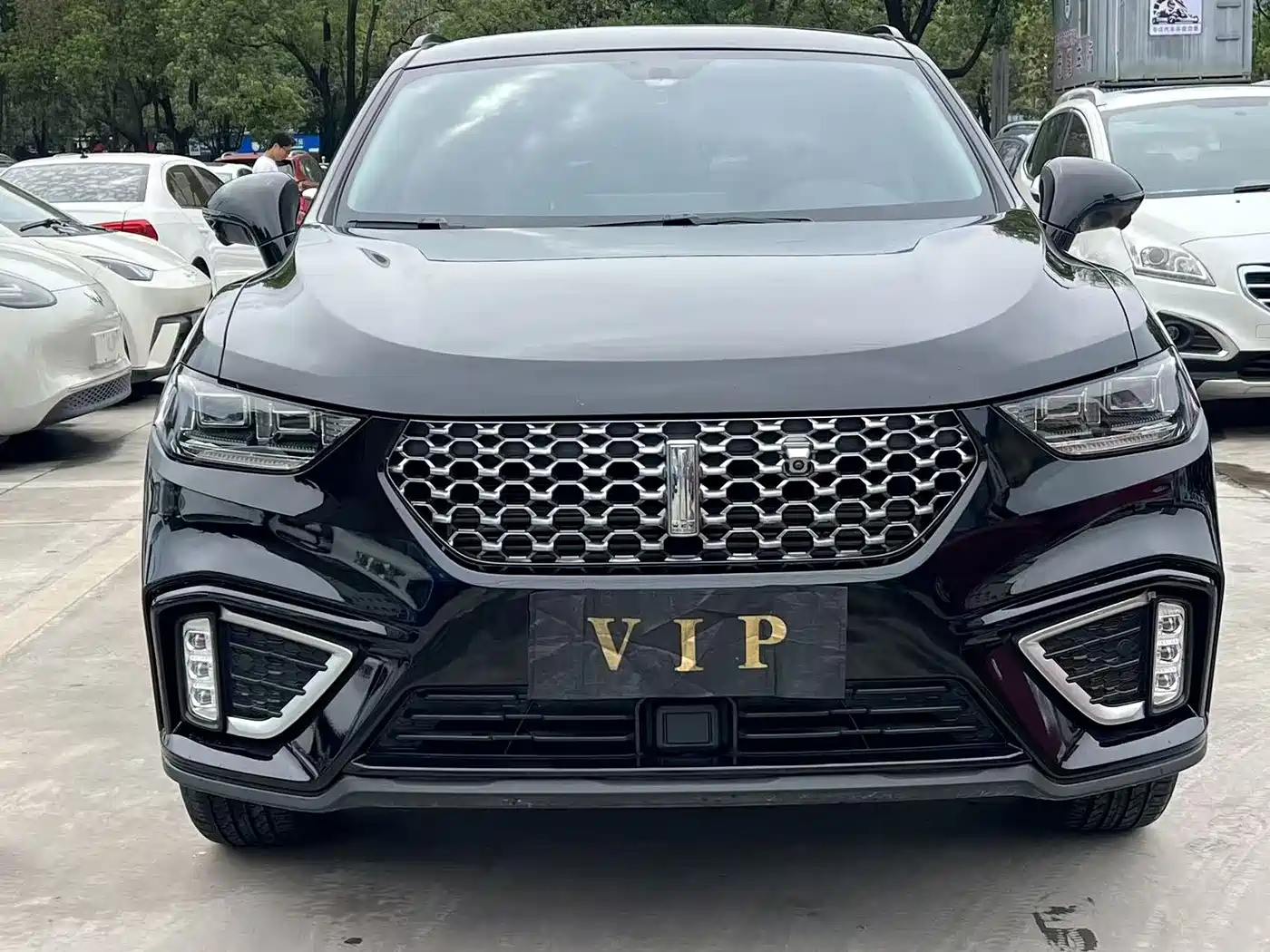 WEI PAI WEI BRAND VV5