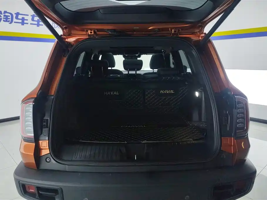 Haval Big Dog 2021 1.5T DCT 2WD Border Collie Edition фото 4