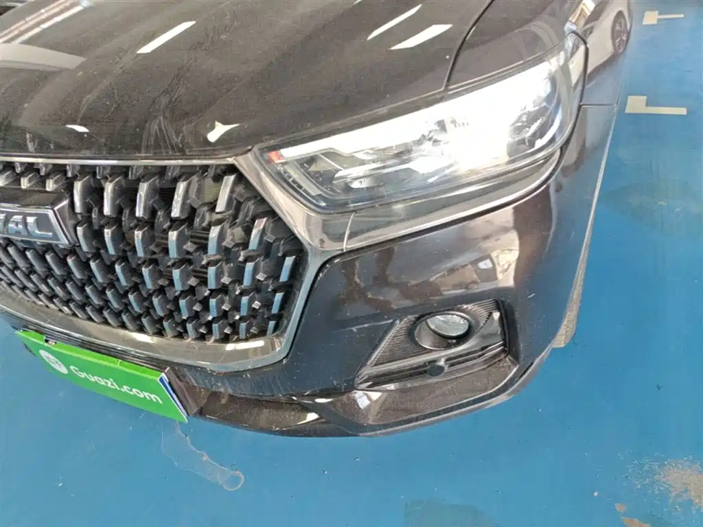 Haval H6 2023 National Trend Edition 1.5T Automatic Champion фото 24