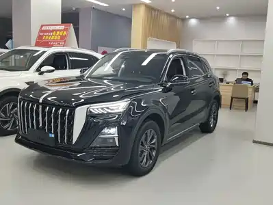Hongqi HS5