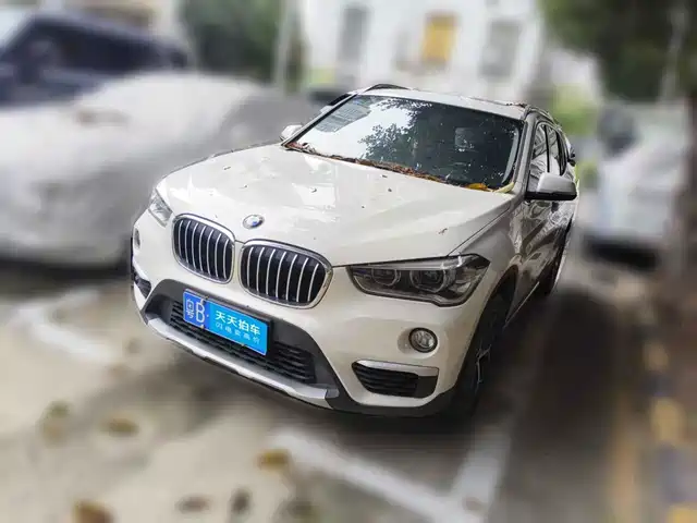 BMW X1 2019 xDrive20Li Premium Model — фото 1