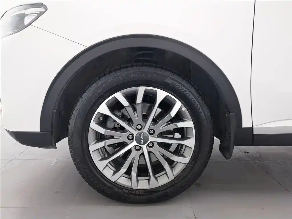 Haval H6 2020 1.5GDIT Automatic Platinum Champion Edition фото 17