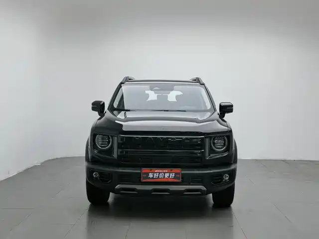 Haval Big Dog 2024 1.5T DCT Border Collie Edition — фото 3