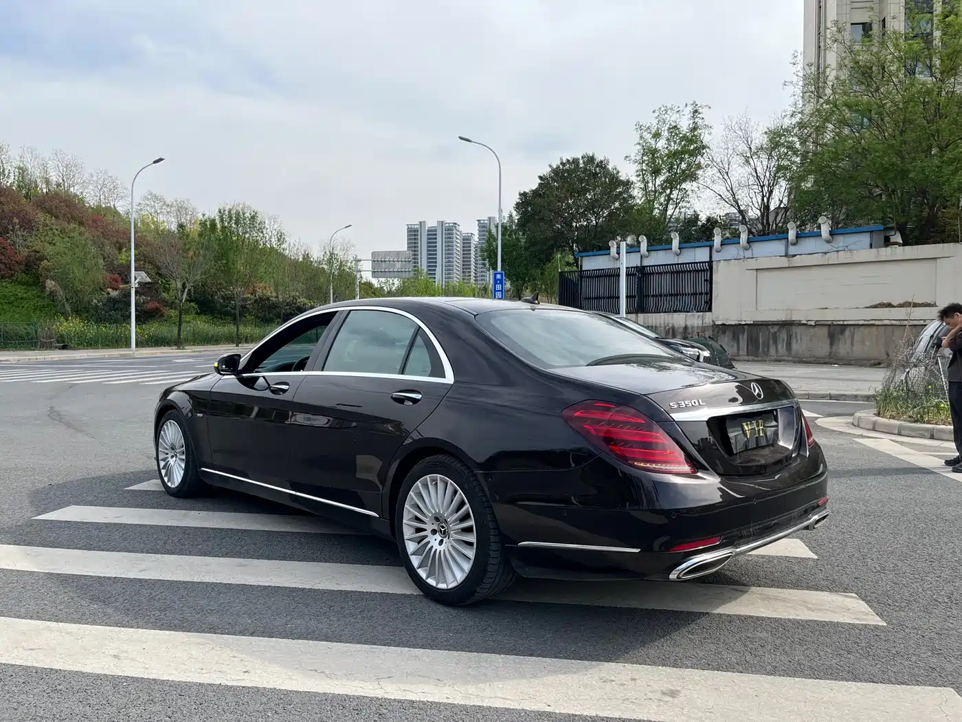 Mercedes-Benz S-Class 2020 S 350 L Business Edition Collector's Version фото 7