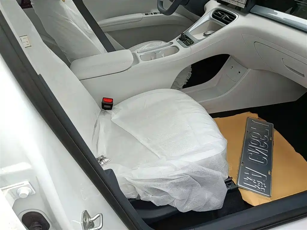 Geely Galaxy Starry Wish 2026 Edition 310km Youth Version фото 25
