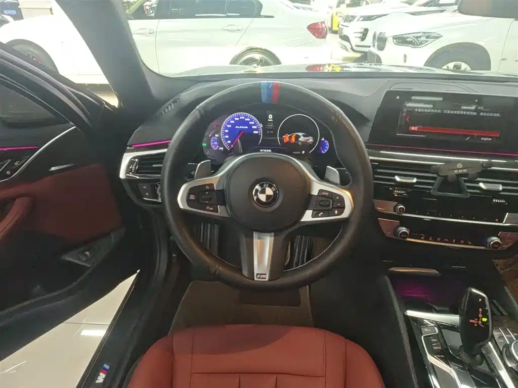 BMW 5 Series 2019 530Li Leading M Sport Package фото 11