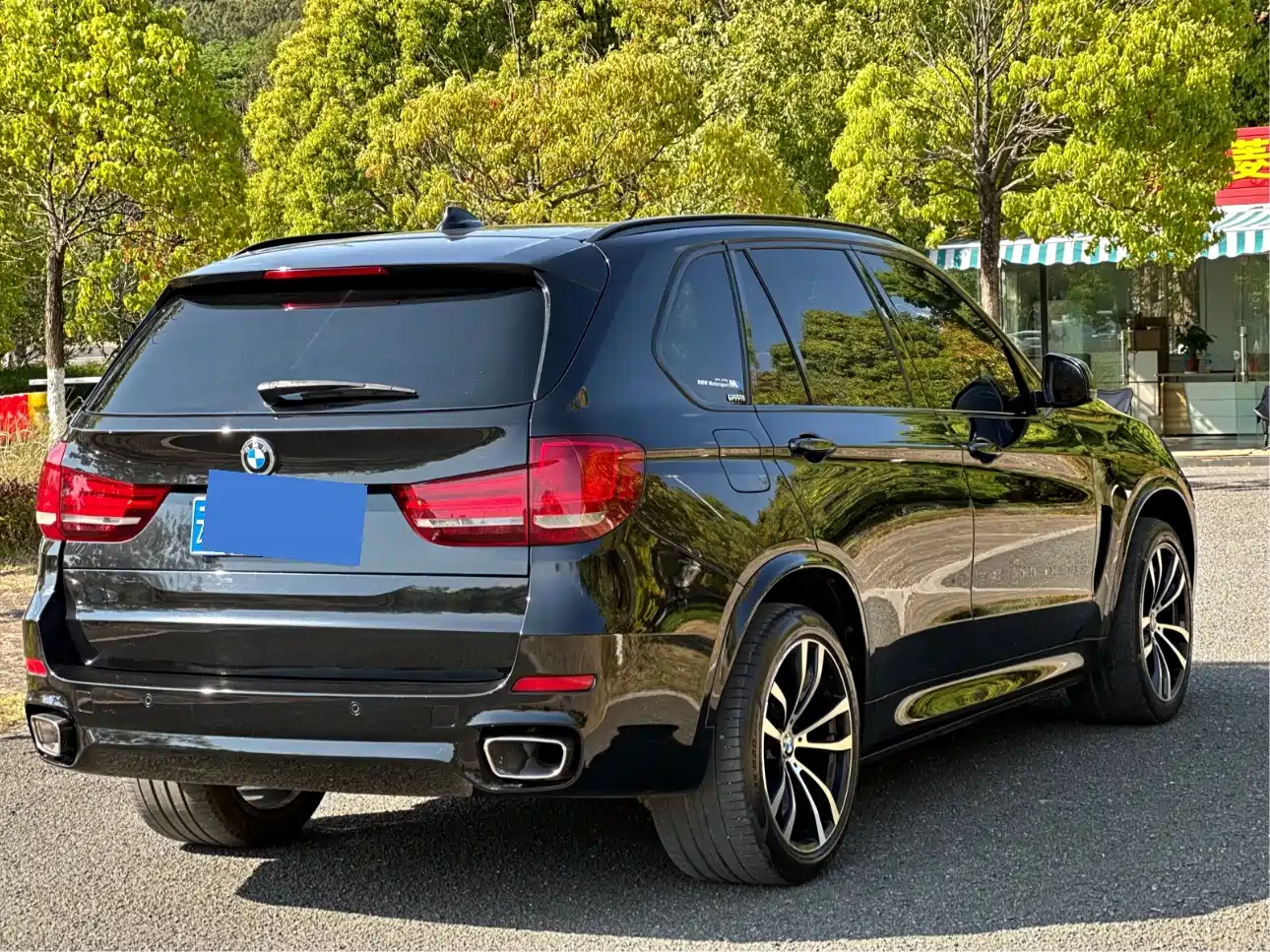 BMW X5 (Import) 2017 xDrive35i Leading Edition фото 25