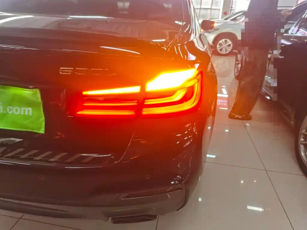 BMW 5 Series 2019 530Li Leading M Sport Package фото 8