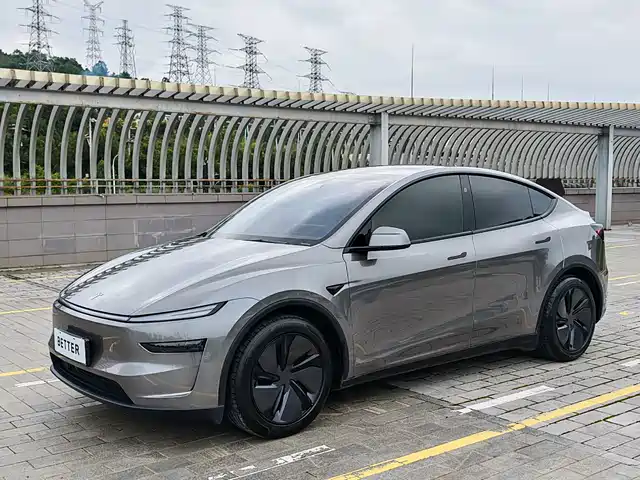 Tesla Model Y 2025 Model Long Range All-Wheel Drive Launch Edition — фото 1