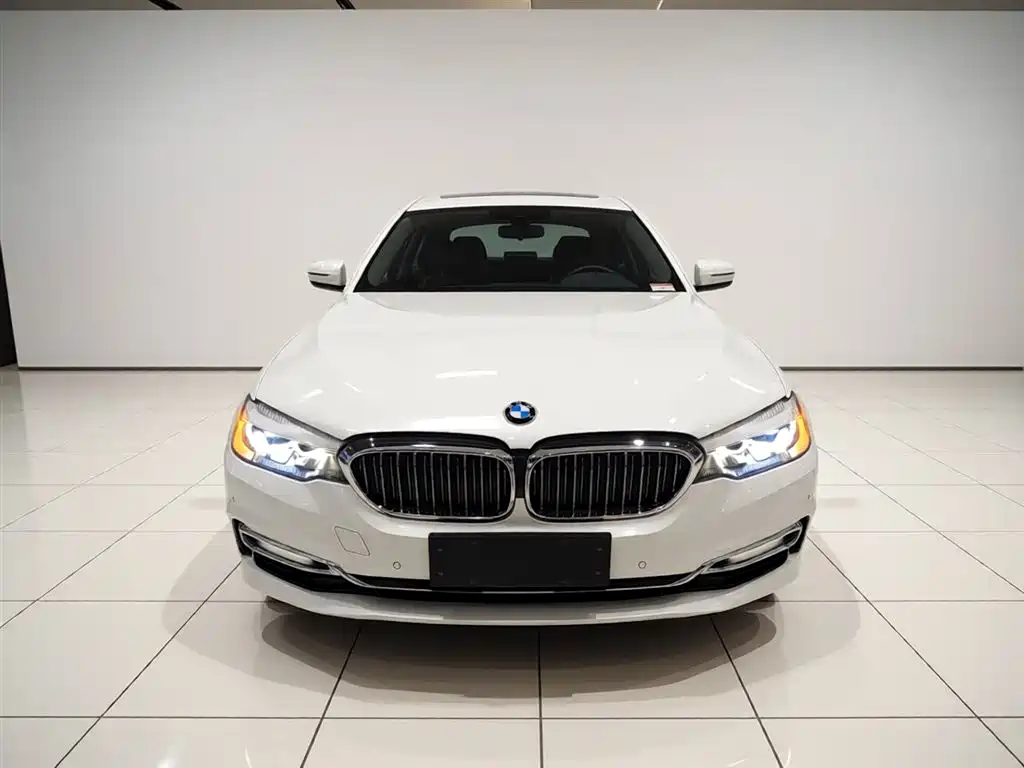 BMW 5 Series 2019 525Li Luxury Package фото 3