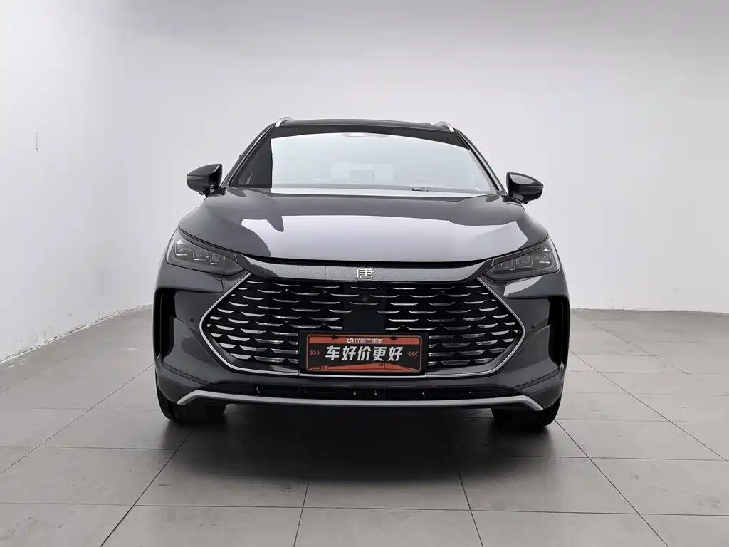 صورة 3 - BYD Tang New Energy