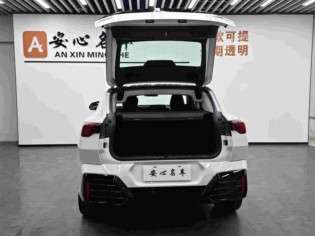 BMW X2 (Import) 2024 sDrive25i M Sport Package фото 5