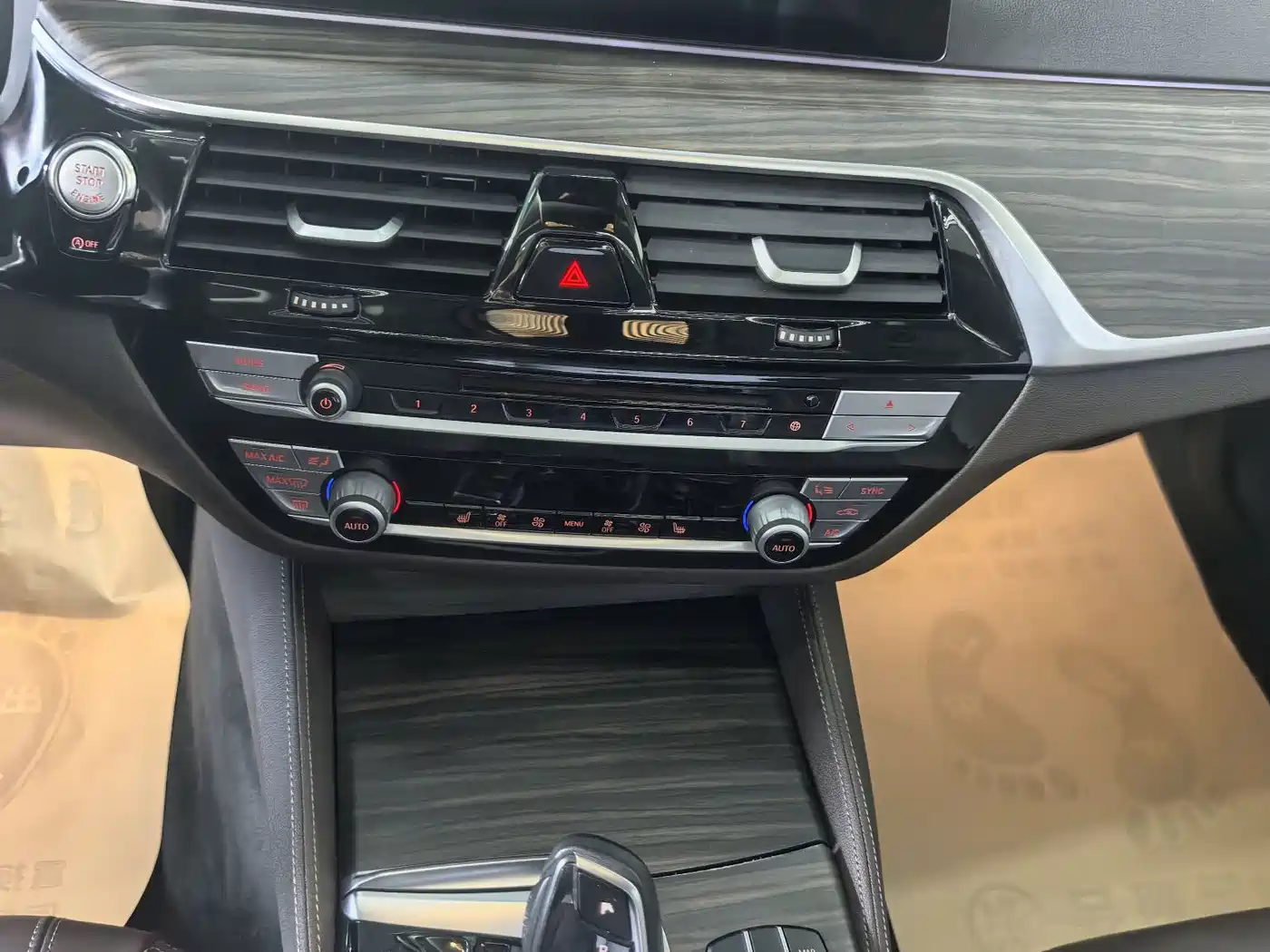 BMW 5 Series 2019 530Li Leading Luxury Package фото 12