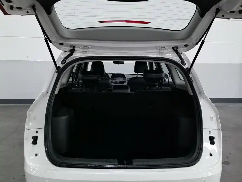 Baojun 310W 2018 2018 1.5L Auto Luxury China V