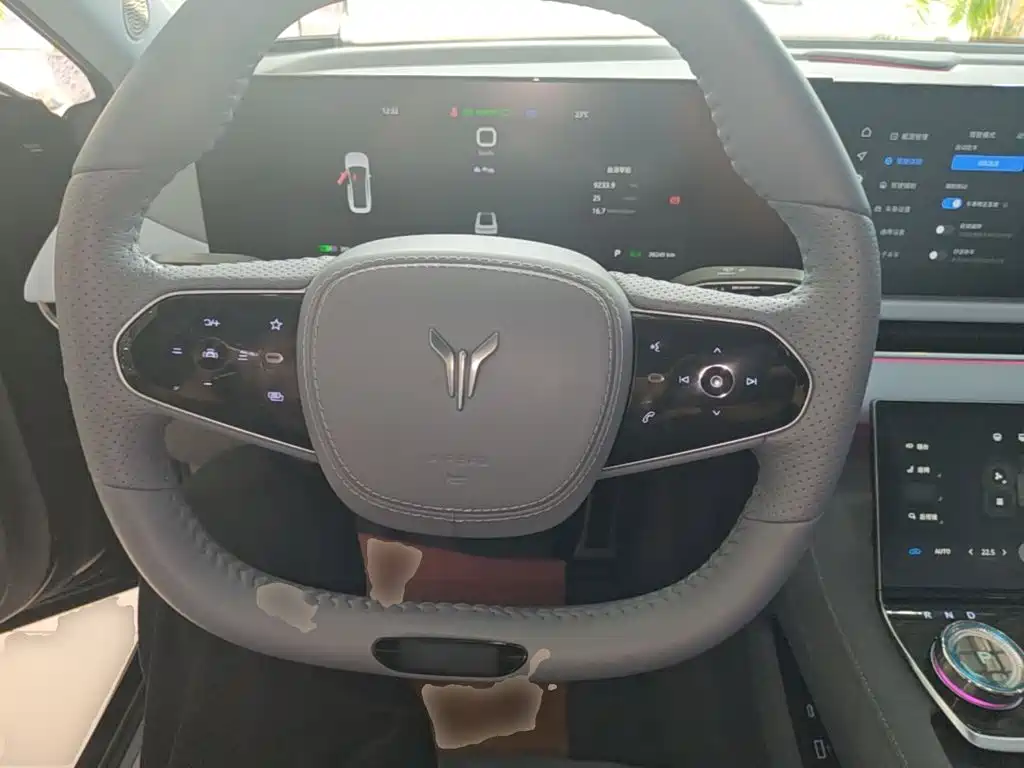 Voyah Passion 2024 2023 4WD Flagship Edition