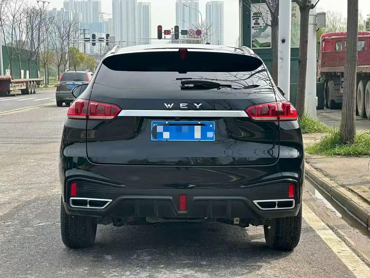 WEI PAI WEI BRAND VV5