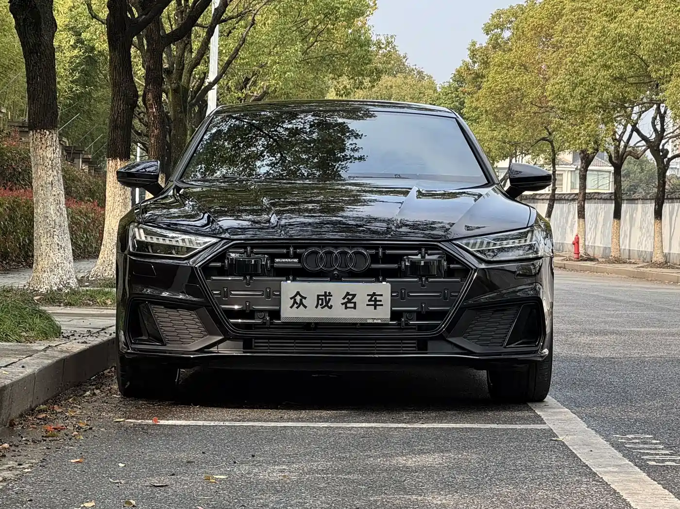 Audi A7L 2024 45 TFSI quattro S-line Black Warrior Edition фото 2