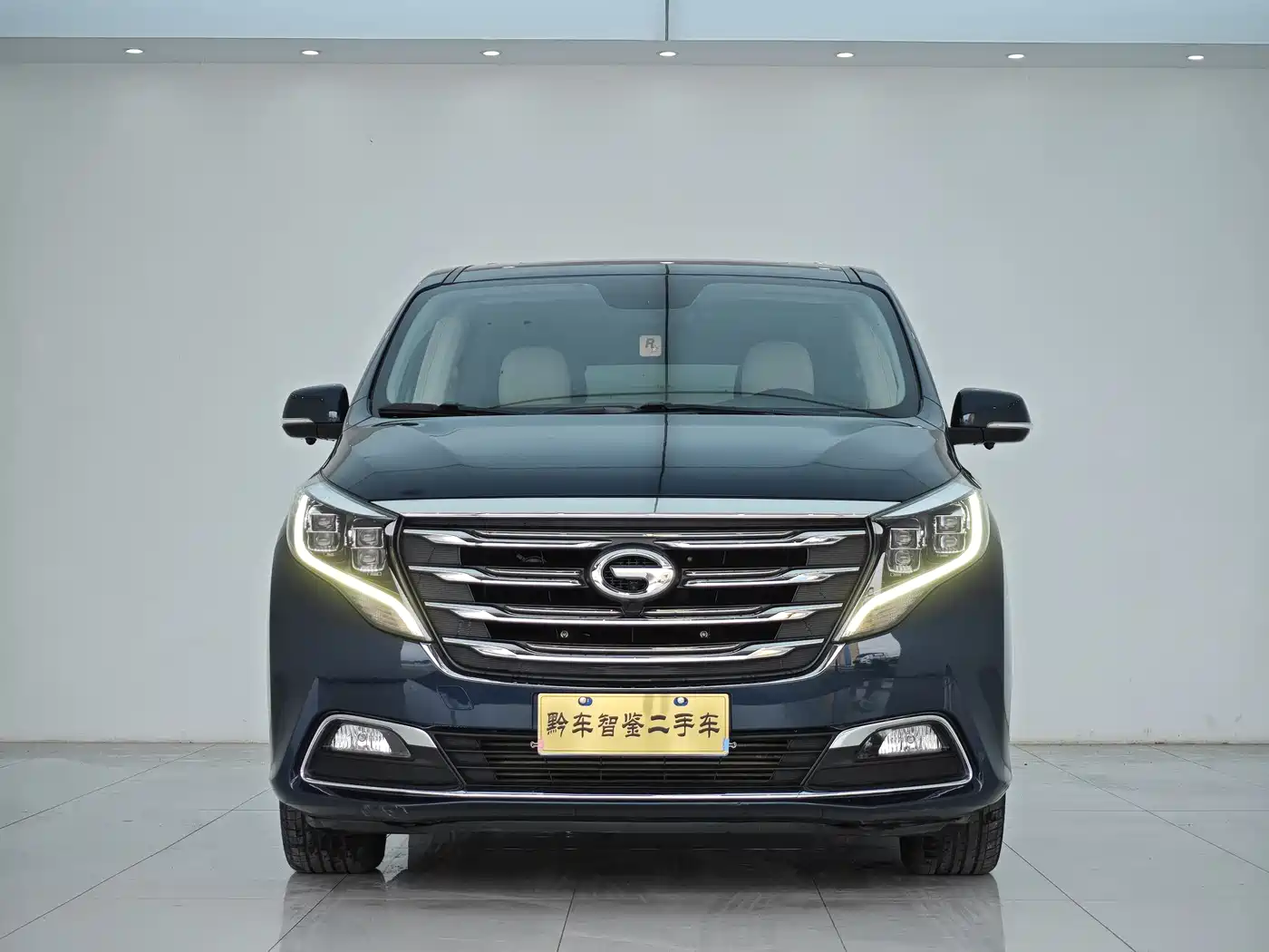 GAC Trumpchi Trumpchi M8 2018 320T Premium Edition фото 2