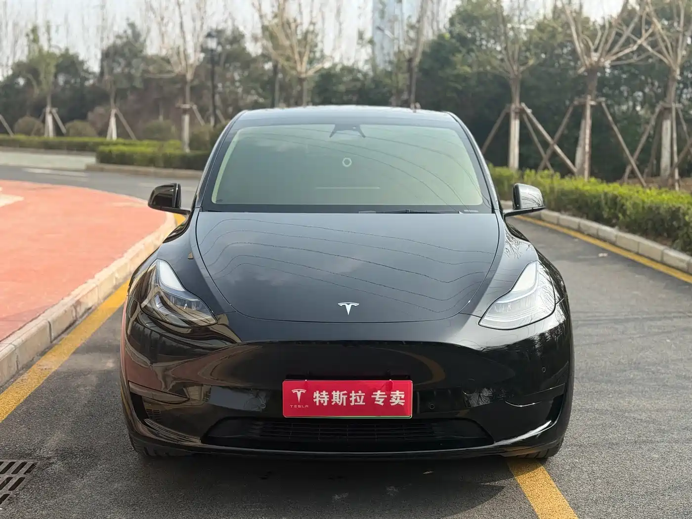TESLA MODEL Y