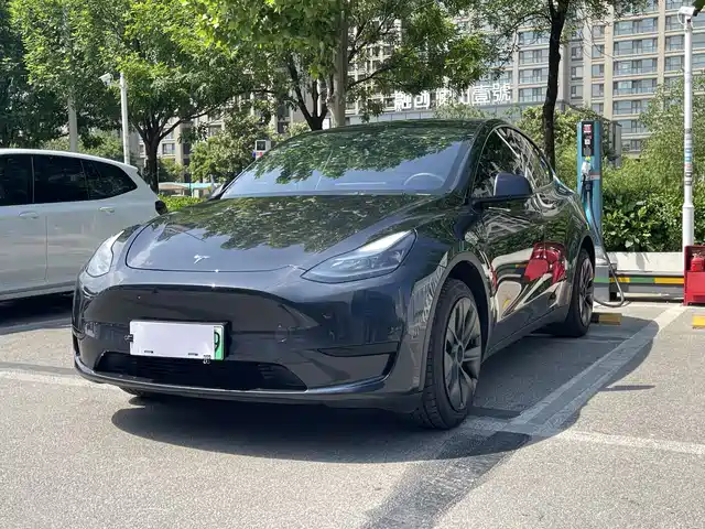 Tesla Model Y 2024 Rear-Wheel Drive Version
