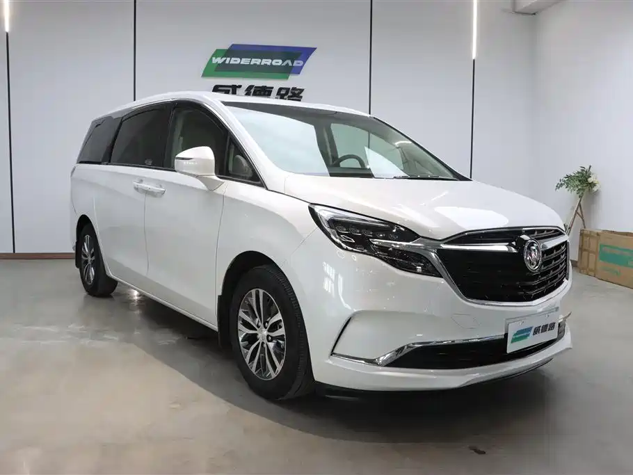 Buick GL8 2022 ES Landmark 653T Comfort фото 4