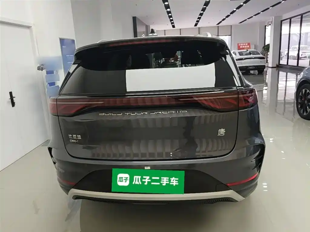 BYD Tang New Energy 2024 Model DM-i Glory Edition 112KM Flagship Type фото 6