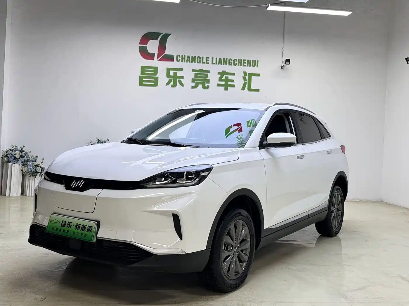 Weltmeister WEIMA EX5