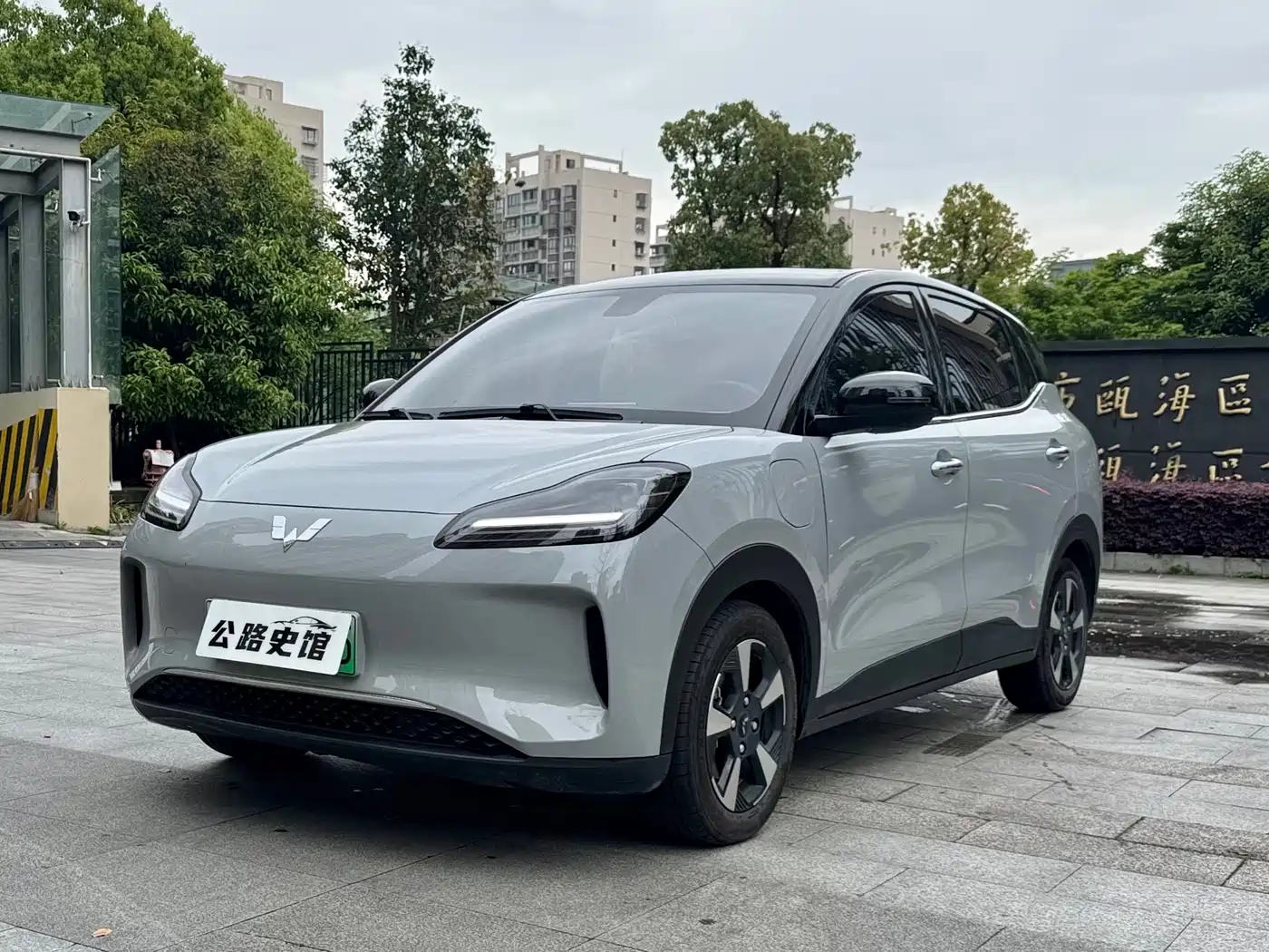 Wuling Motors Wuling Binguo PLUS 2025 2024 Model 330km 5-Seater