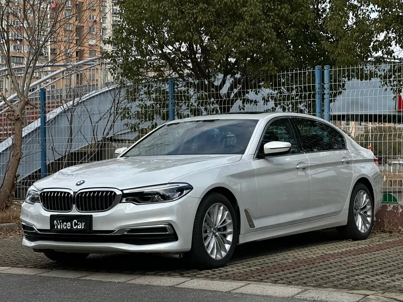BMW 5 Series 2020 530Li Leading Luxury Package