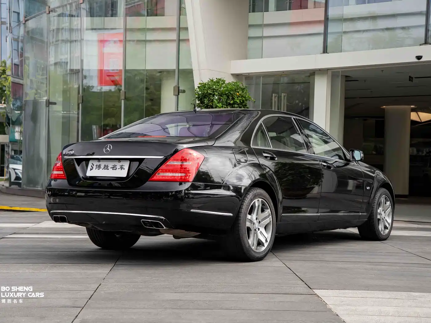 Mercedes-Benz S-Class 2010 S 600 L фото 21