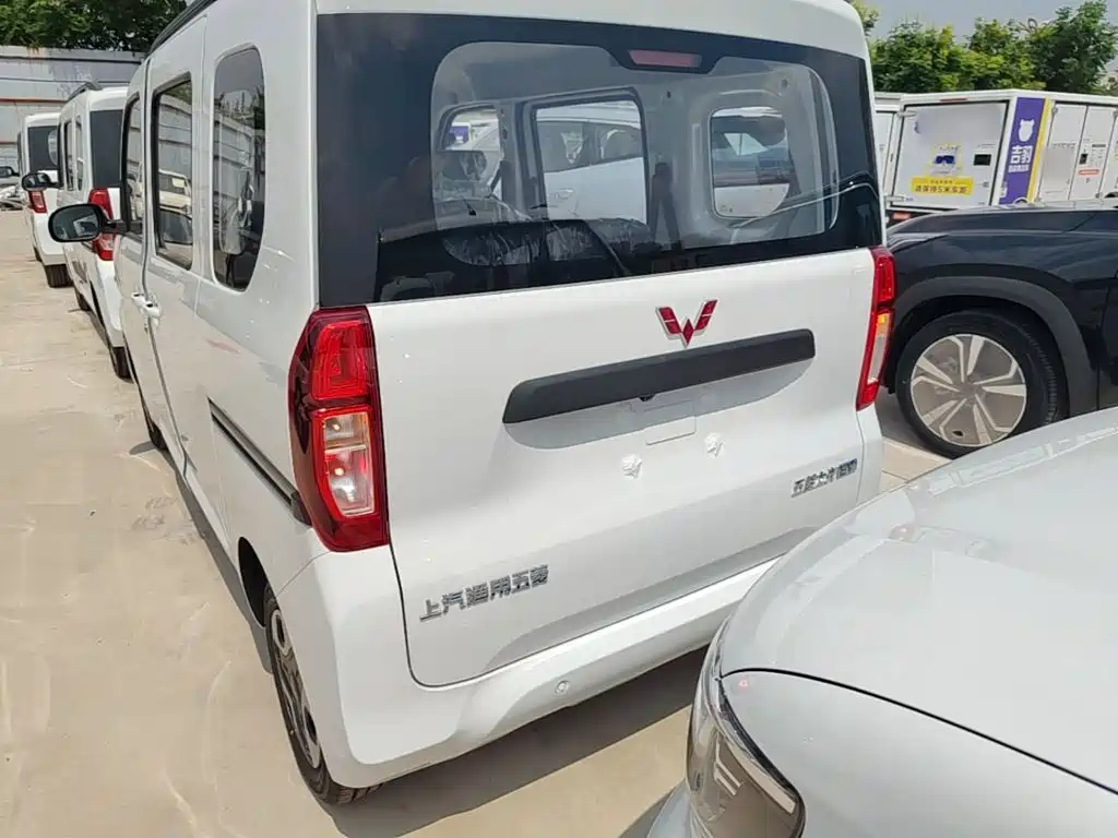 Wuling Motors Wuling Zhiguang NEV 2026 2025 Model 305km Base Version