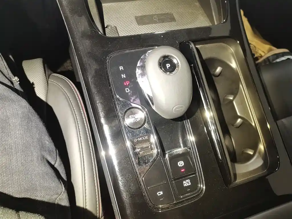 GAC Trumpchi Trumpchi M8 2023 Master Series Dual Hybrid Flagship Edition фото 14