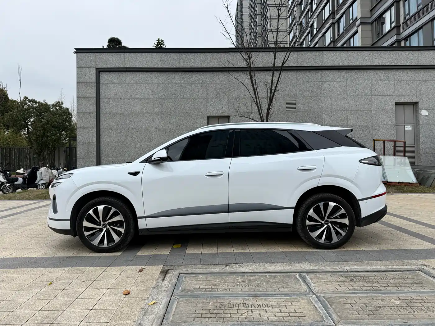 BYD SEA LION 06 NEW ENERGY