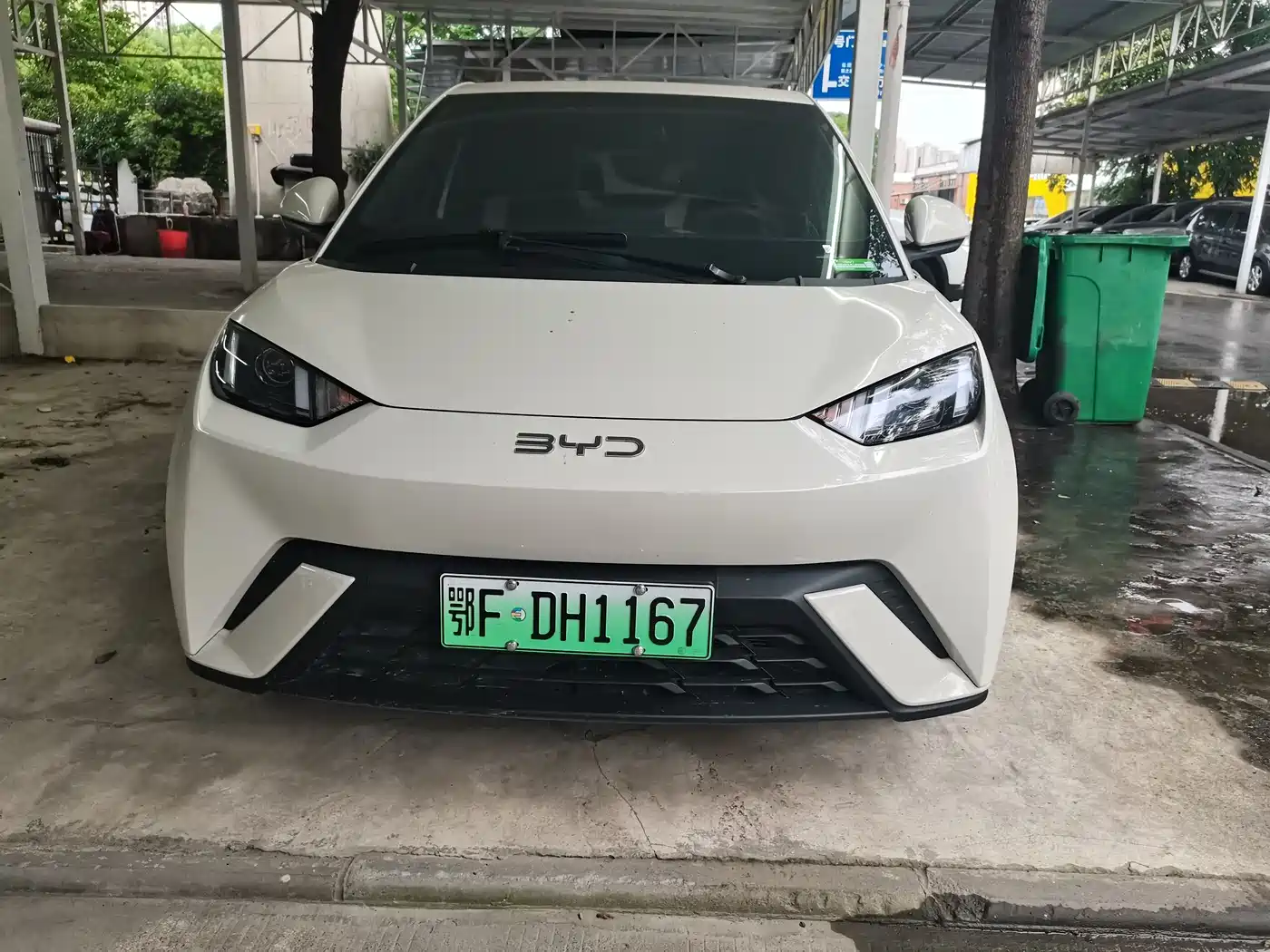 BYD Seagull 2024 Glory Edition 305km Vitality Edition фото 2